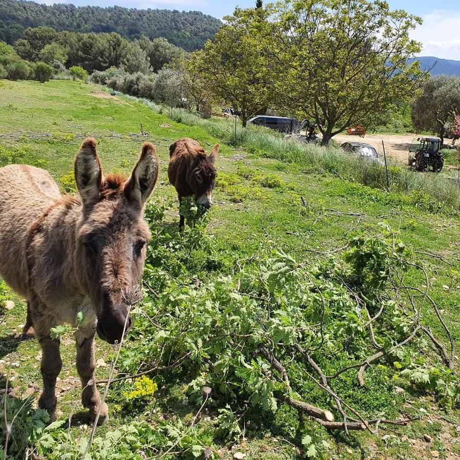 Bastide Bellugue Maison D'Hotes Reseau Bienvenue A La Ferme A 3 Minutes De Lourmarin Cadenet Eksteriør bilde