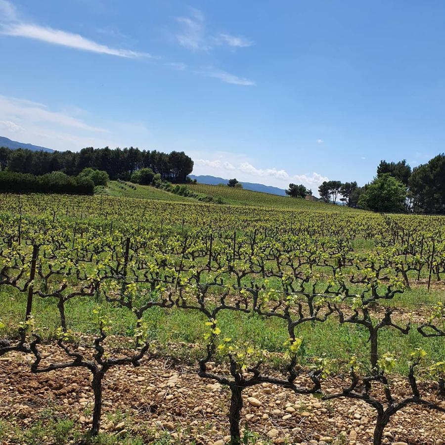 Bastide Bellugue Maison D'Hotes Reseau Bienvenue A La Ferme A 3 Minutes De Lourmarin Cadenet Eksteriør bilde