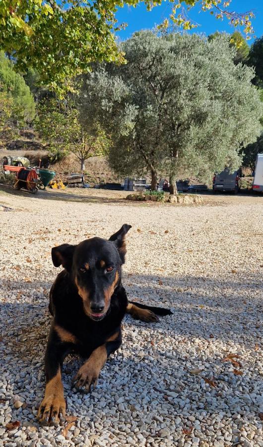 Bastide Bellugue Maison D'Hotes Reseau Bienvenue A La Ferme A 3 Minutes De Lourmarin Cadenet Eksteriør bilde