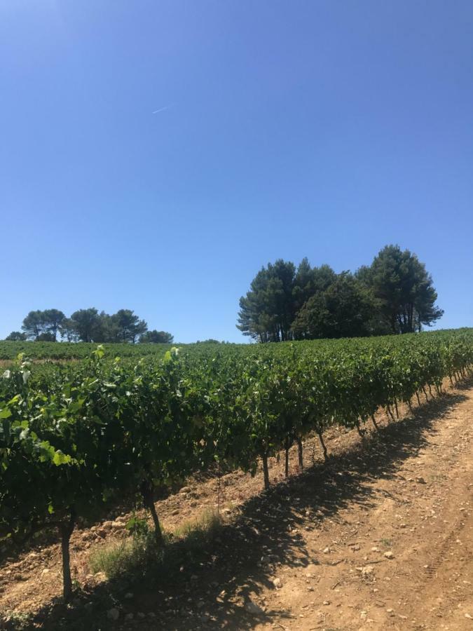 Bastide Bellugue Maison D'Hotes Reseau Bienvenue A La Ferme A 3 Minutes De Lourmarin Cadenet Eksteriør bilde