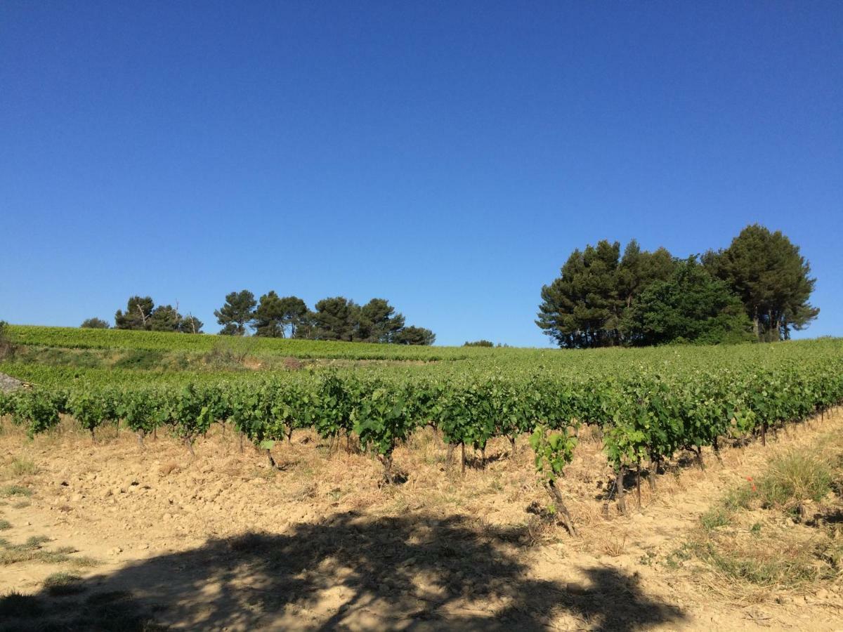 Bastide Bellugue Maison D'Hotes Reseau Bienvenue A La Ferme A 3 Minutes De Lourmarin Cadenet Eksteriør bilde