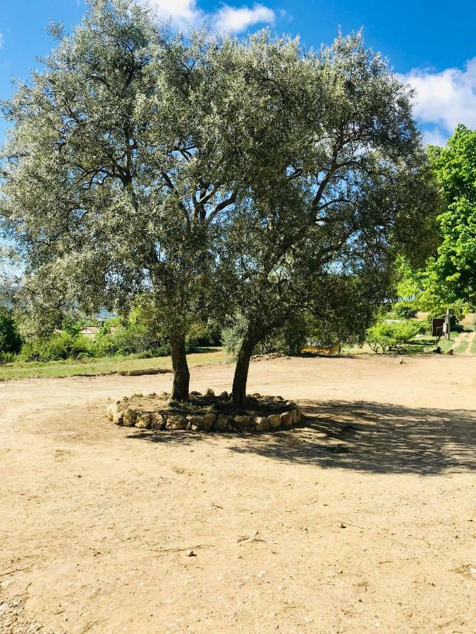 Bastide Bellugue Maison D'Hotes Reseau Bienvenue A La Ferme A 3 Minutes De Lourmarin Cadenet Eksteriør bilde
